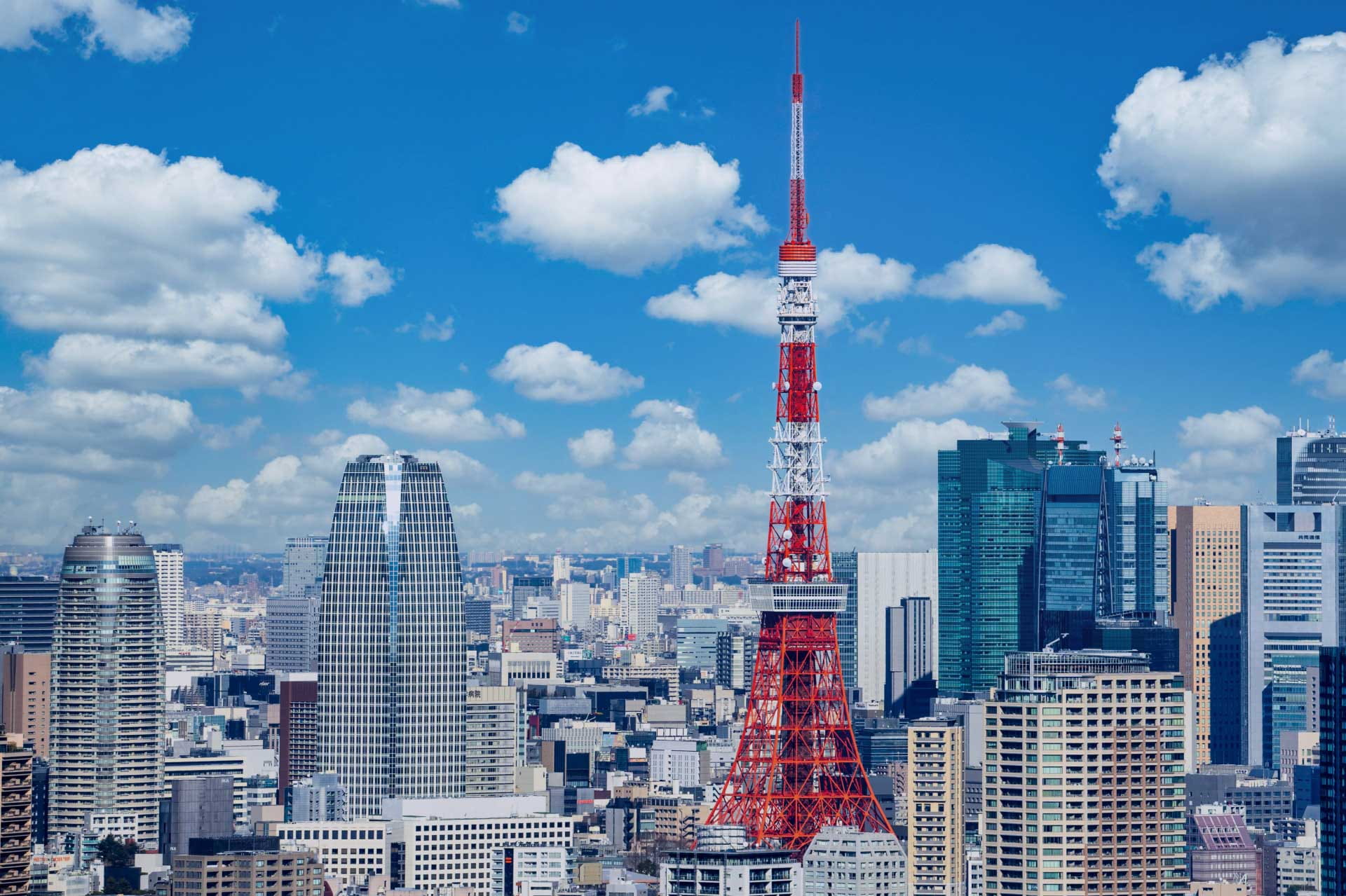 東京タワーと東京のビル群